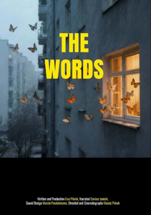 Locandina del film The words